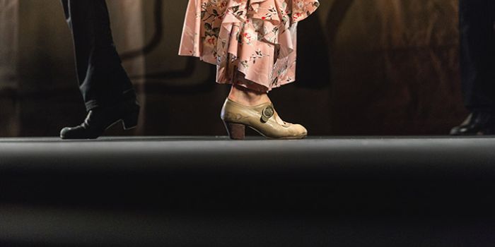 La libertà espressiva nelle danze Sevillanas del Flamenco