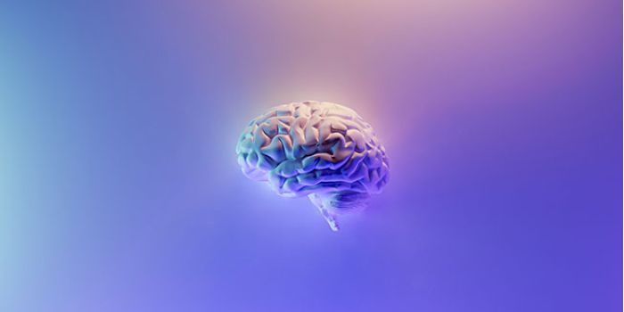 Ruolo del Cervello emotivo mentre si danza