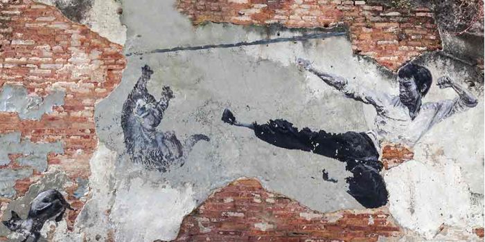 Alcune delle arti marziali di nicchia e meno conosciute